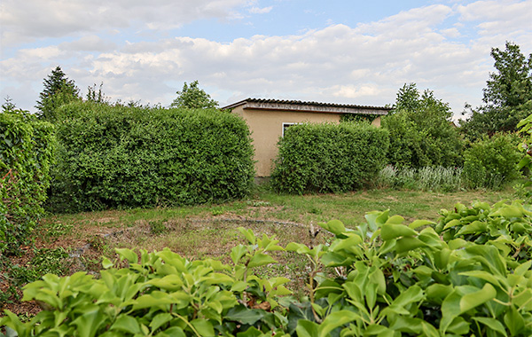 garten_174