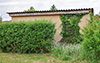 garten_174