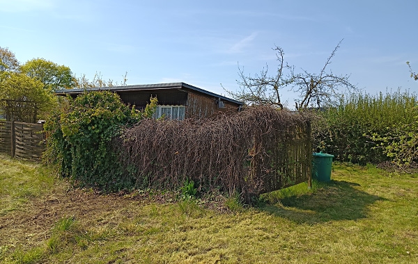 garten_1042