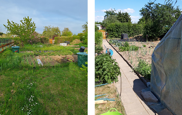 garten_1045