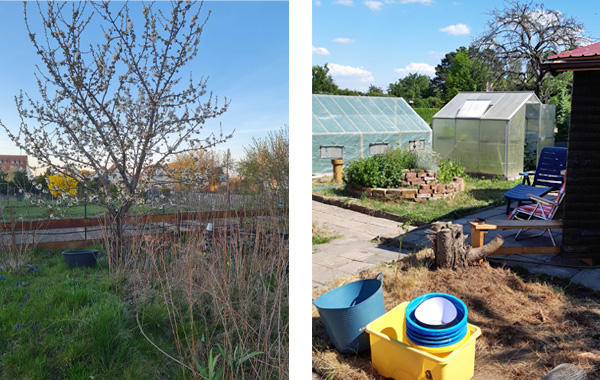 garten_1045