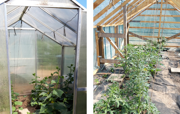 garten_1045