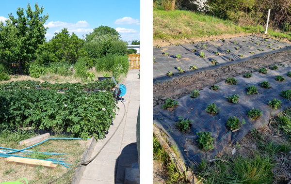 garten_1045