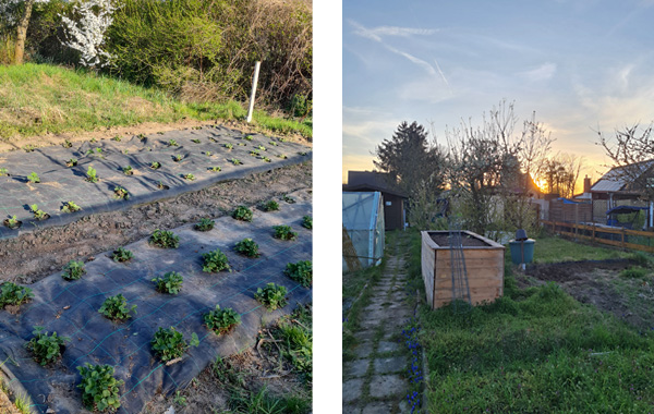 garten_1045