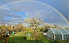 garten_A2_1045