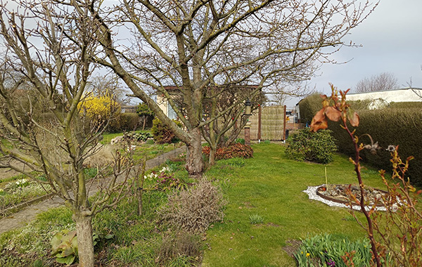 garten_148