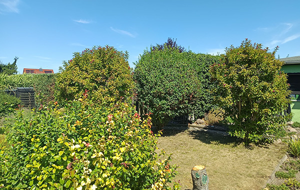 garten_174