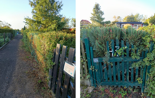 garten_43