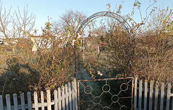 garten_72