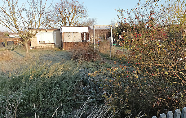 garten_72